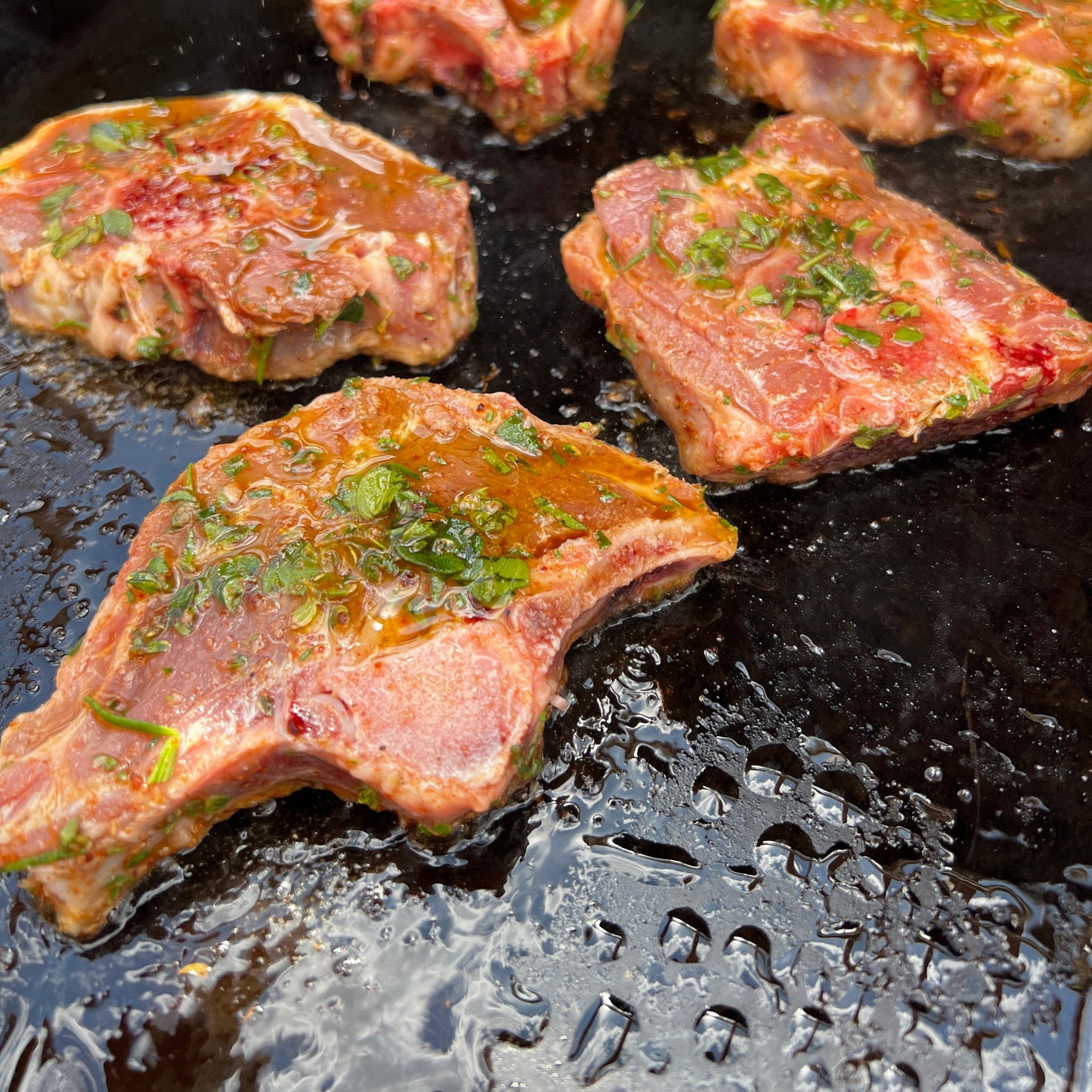 Gussgrillplatte 35x46 cm für ALLGRILL L & XL