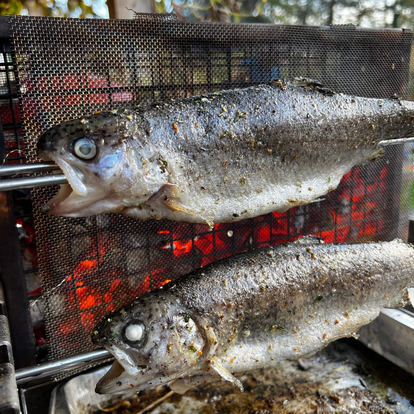 Vertikalgrill GrillGilley