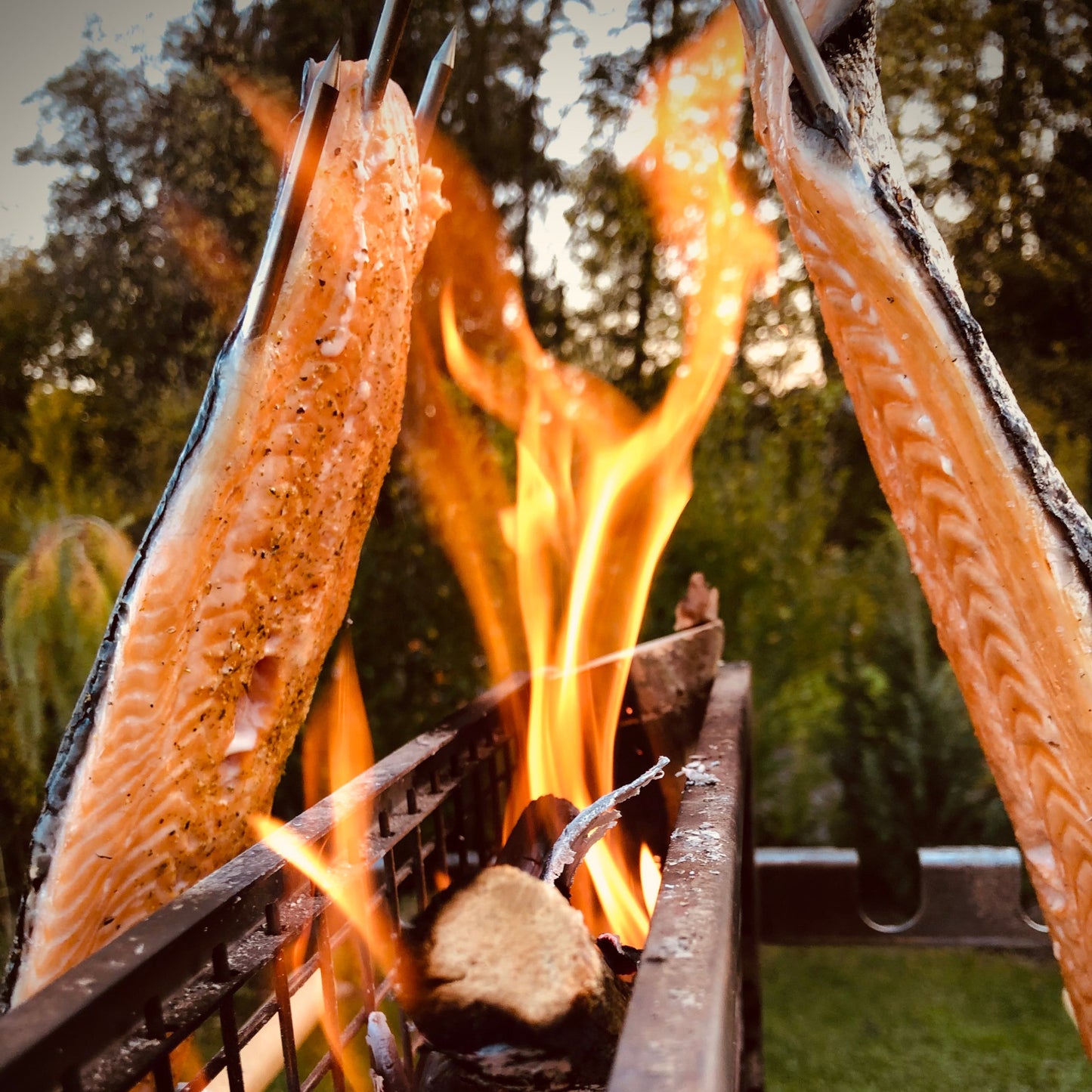 Vertikalgrill GrillGilley