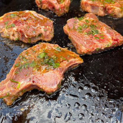 Gussgrillplatte 35x46 cm für ALLGRILL L & XL