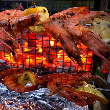 Vertikalgrill GrillGilley